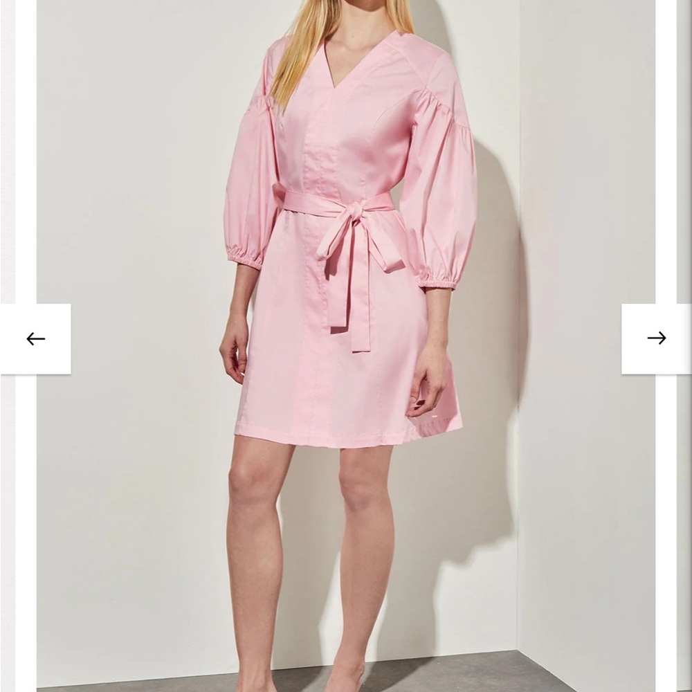 Ming Wang Plus Size Sheath Dress